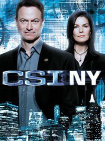 Les Experts : Manhattan Saison 8 en streaming