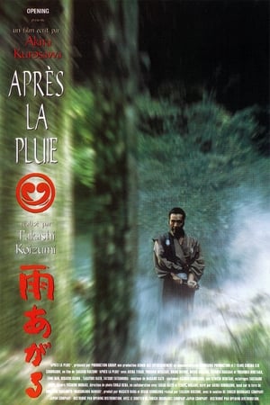 Après la pluie