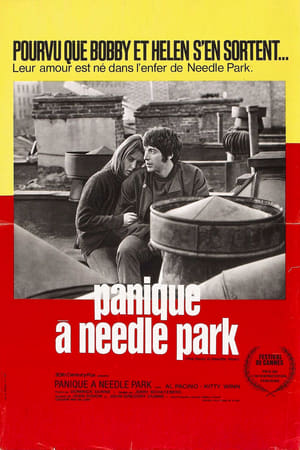 Panique à Needle Park